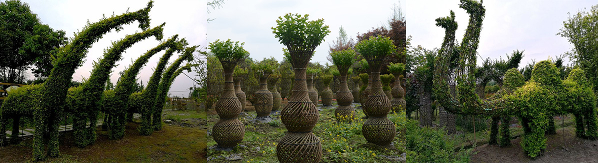 植物造型類