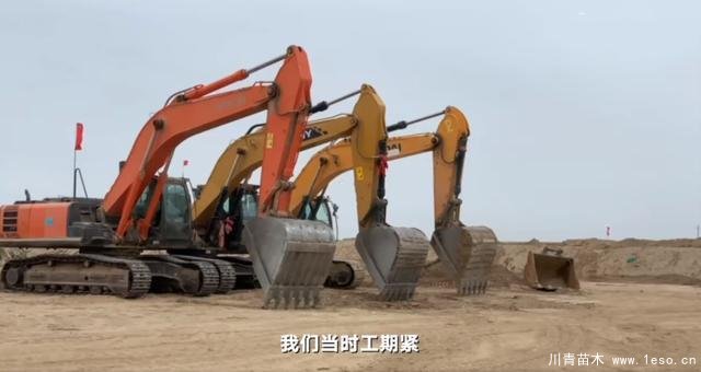 30畝苗木一夜被毀，村民欲哭無淚，施工方：領(lǐng)導(dǎo)要觀摩加班推錯了
