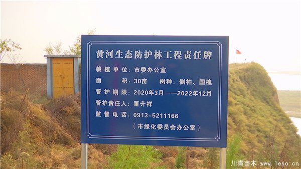 秋冬季花卉苗木的管護補植工作，黃河生態防護林責任片區