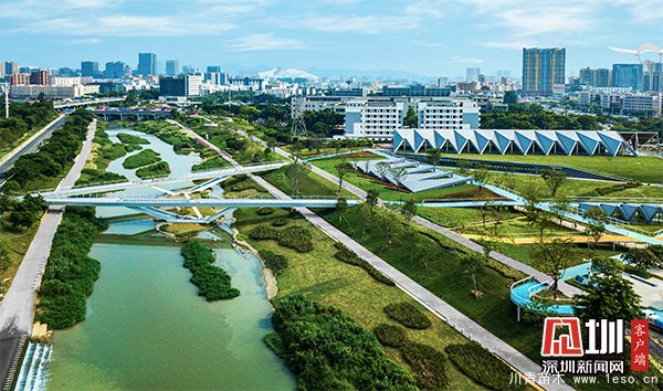 茅洲河碧道光明段，布滿草叢、灌木，草植豐厚具有活力