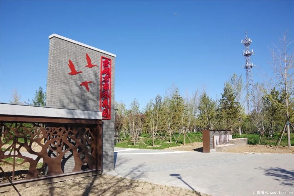 通州南部這處灌木森林公園規(guī)模約26000畝即將迎客！