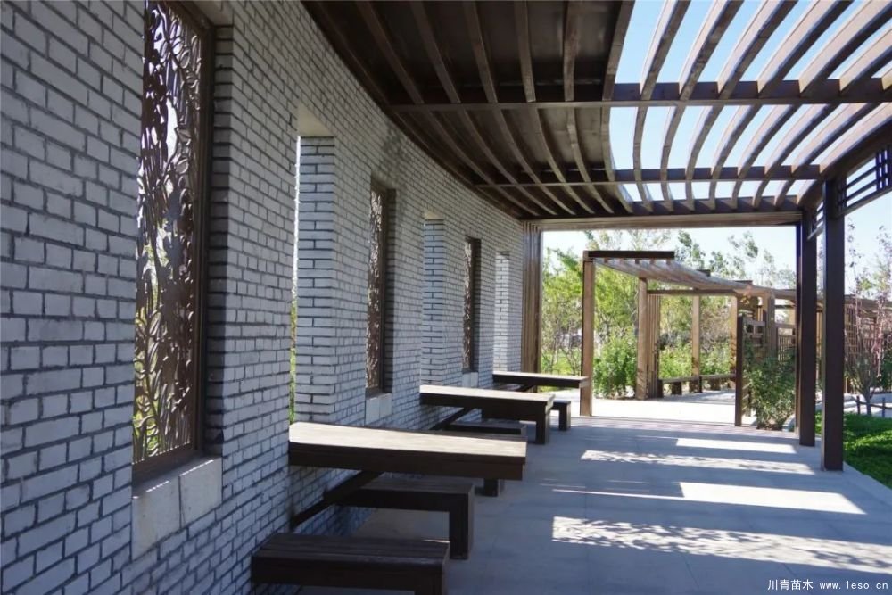 通州南部這處灌木森林公園規(guī)模約26000畝即將迎客！