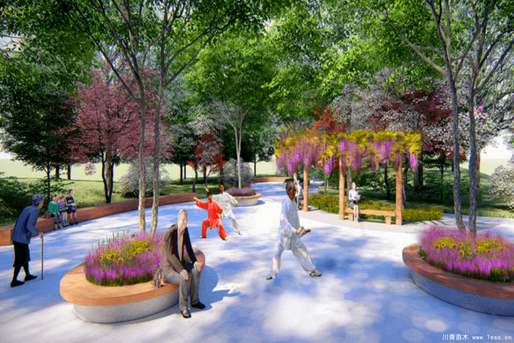 蘇州這座縣級市在建一座公園，占地約5萬平方米，預計2021年建成