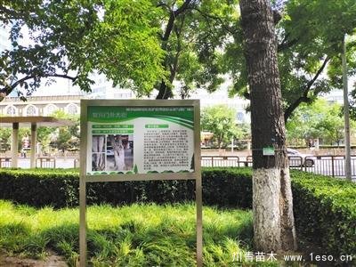 “樹木醫生”為樹木體檢、開方治病