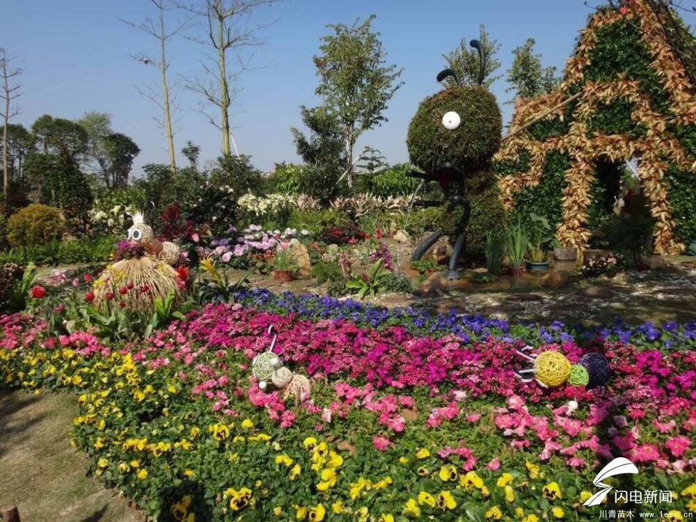 淄博一男子多次偷拿路邊花卉被拘，路邊的鮮花你不要“采”