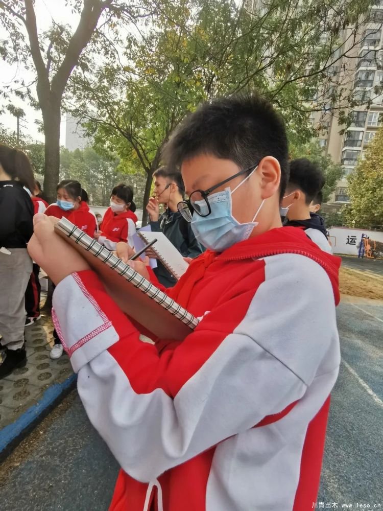 武漢導師帶領初中生探究喬木的奧秘，生動的上了一課