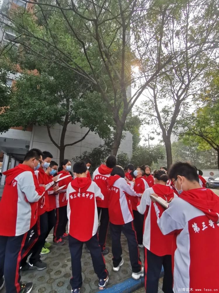 武漢導師帶領初中生探究喬木的奧秘，生動的上了一課