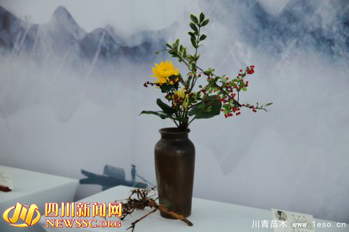賞千姿百態 享美好周末 第二屆成都國際花博會在溫江開幕