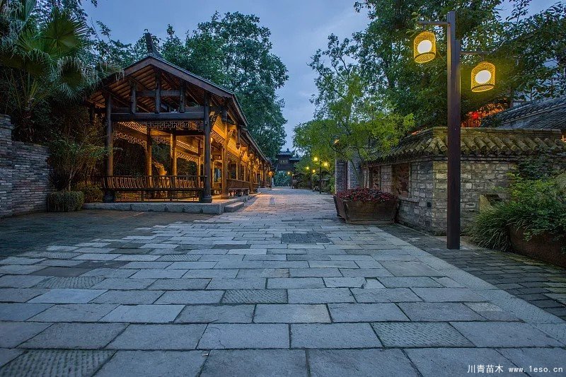 綠化苗木園林景觀建筑在園林設計中的作用