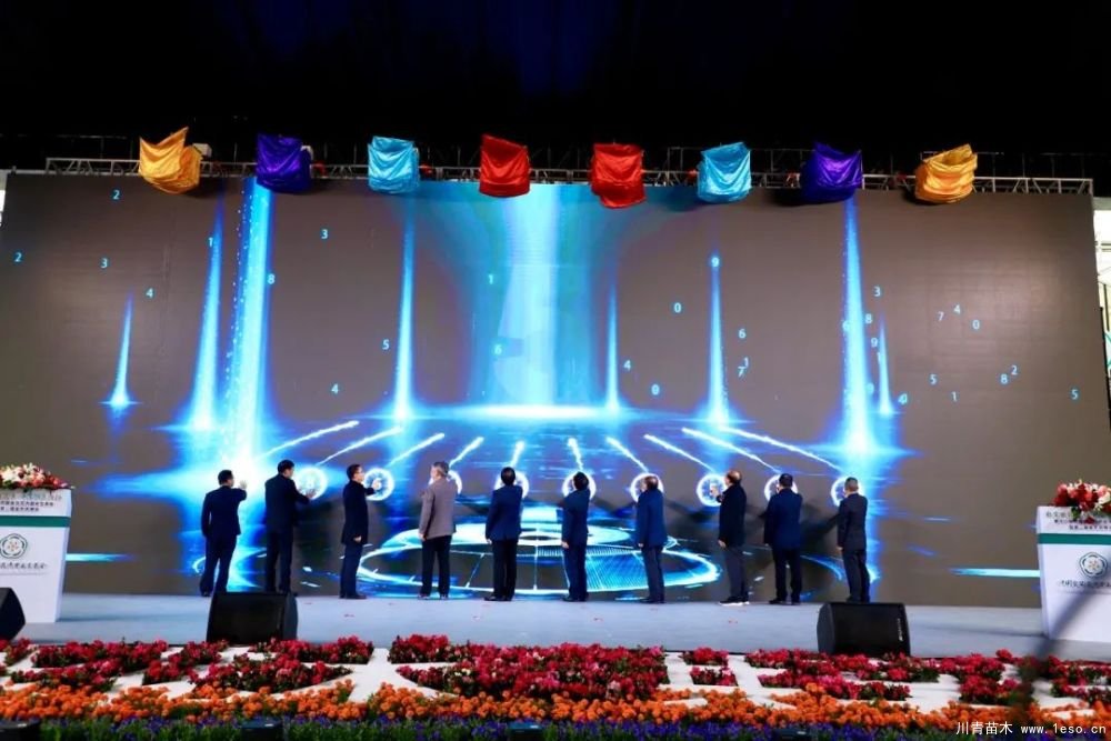 第十八屆中國金華花卉苗木交易會(huì)三大亮點(diǎn)，帶你上“云”