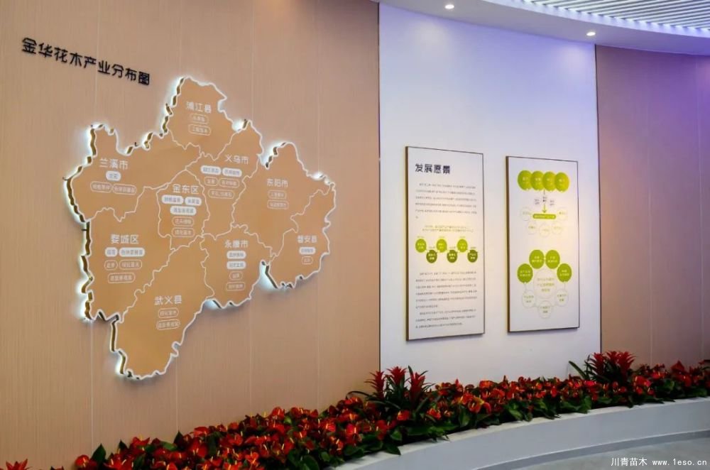 第十八屆中國金華花卉苗木交易會(huì)三大亮點(diǎn)，帶你上“云”