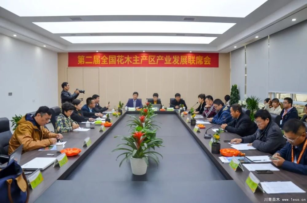 第十八屆中國金華花卉苗木交易會(huì)三大亮點(diǎn)，帶你上“云”