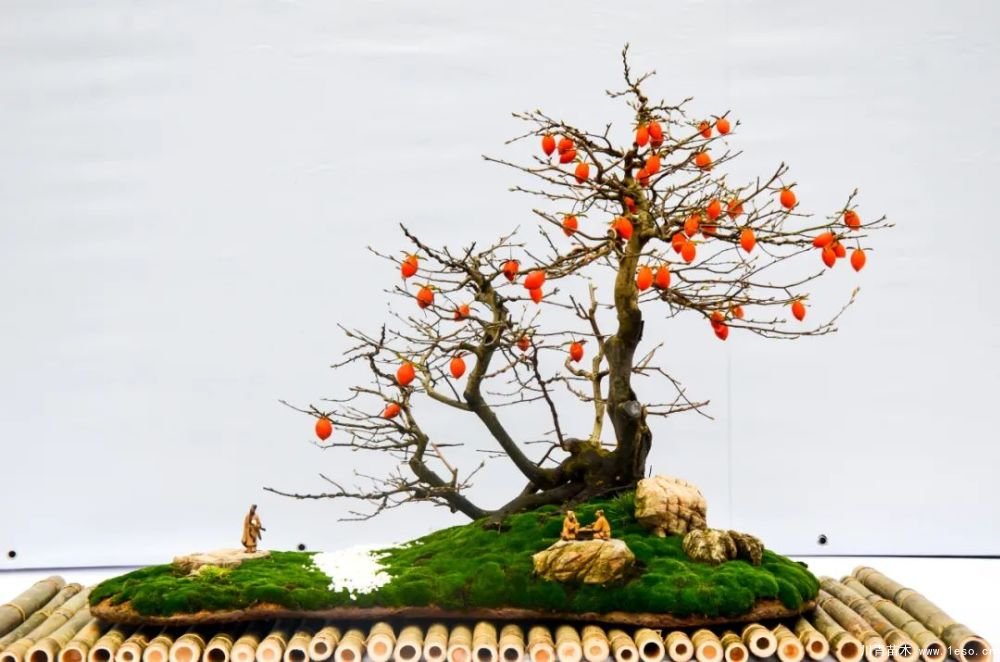 第十八屆中國金華花卉苗木交易會(huì)三大亮點(diǎn)，帶你上“云”