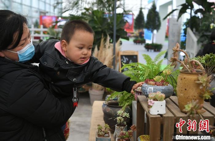 2020合肥苗木花卉交易大會(huì)開幕，市民近距離賞繁花