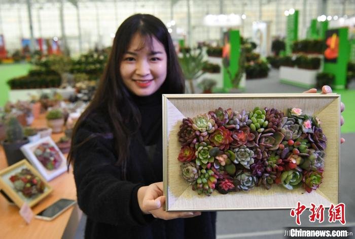 2020合肥苗木花卉交易大會(huì)開幕，市民近距離賞繁花