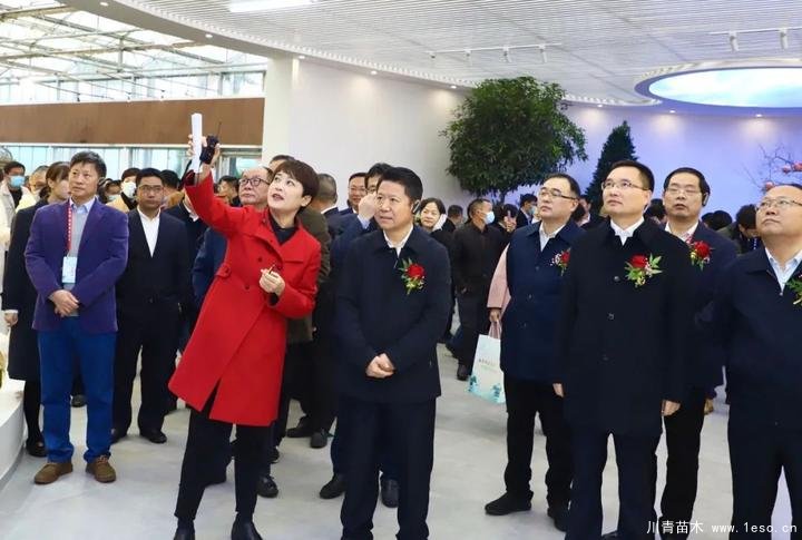 第十八屆中國金華花卉苗木交易會暨第二屆金東農展會開幕 