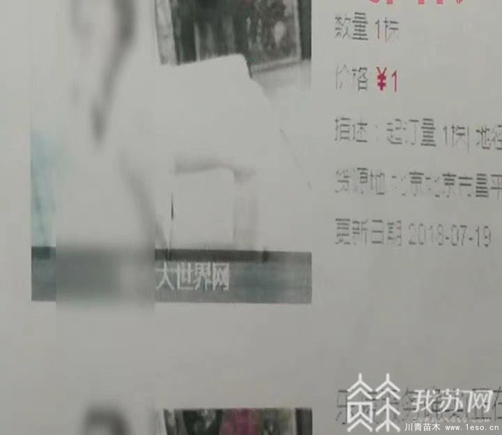 “花木大世界網”變招嫖網站，幕后“黑客”竟是一對夫妻