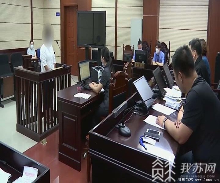 “花木大世界網”變招嫖網站，幕后“黑客”竟是一對夫妻