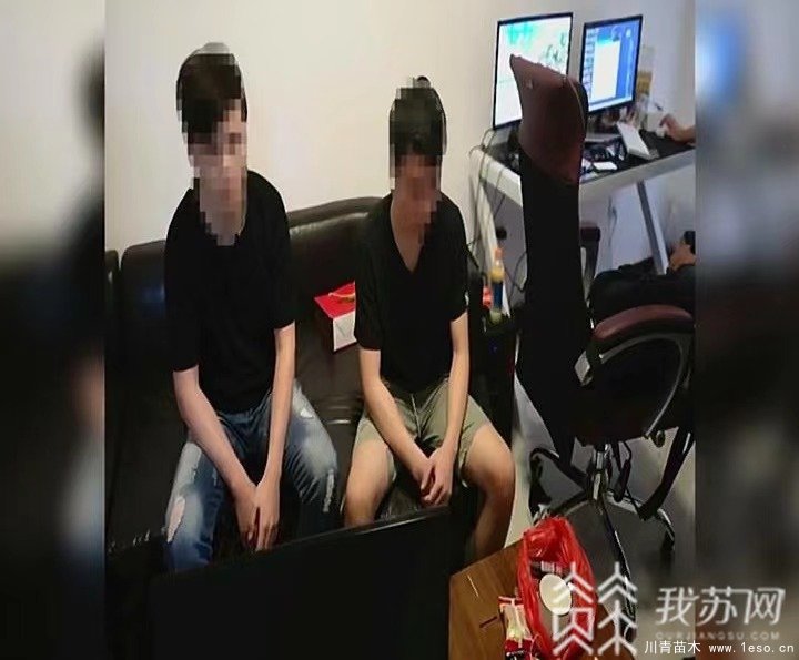 “花木大世界網”變招嫖網站，幕后“黑客”竟是一對夫妻
